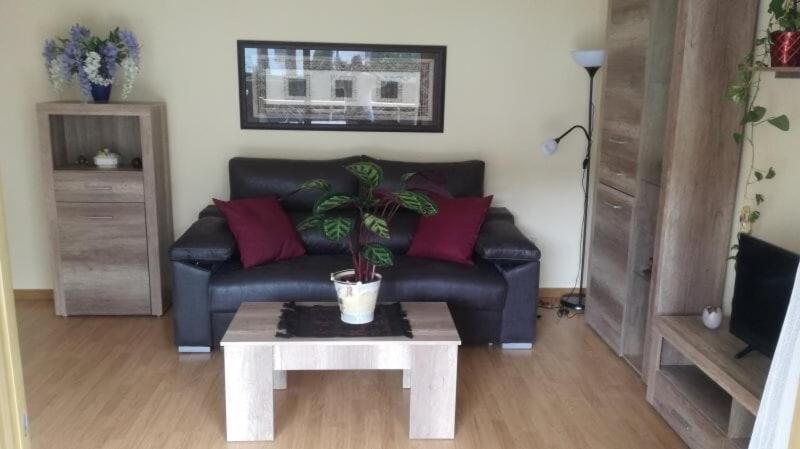 100M2 Big Apartment Private Garden And Pool/ 100M2 Gran Apartamento Jardin Privado Y Piscina / Acogedor Apartamento En Zona Tranquila Y Agradable Камбрілс Екстер'єр фото